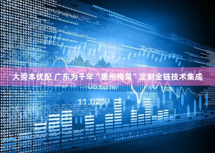 大资本优配 广东为千年“惠州梅菜”定制全链技术集成
