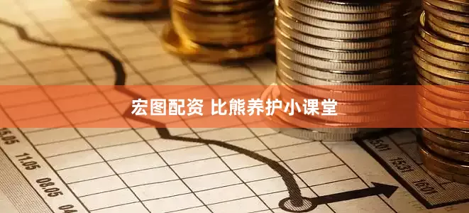 宏图配资 比熊养护小课堂
