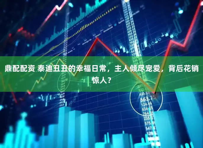 鼎配配资 泰迪丑丑的幸福日常，主人倾尽宠爱，背后花销惊人？