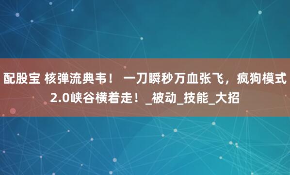 配股宝 核弹流典韦！ 一刀瞬秒万血张飞，疯狗模式2.0峡谷横着走！_被动_技能_大招