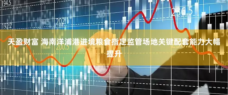 天盈财富 海南洋浦港进境粮食指定监管场地关键配套能力大幅提升
