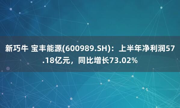 新巧牛 宝丰能源(600989.SH)：上半年净利润57.18亿元，同比增长73.02%