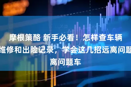 摩根策酪 新手必看！怎样查车辆的维修和出险记录，学会这几招远离问题车